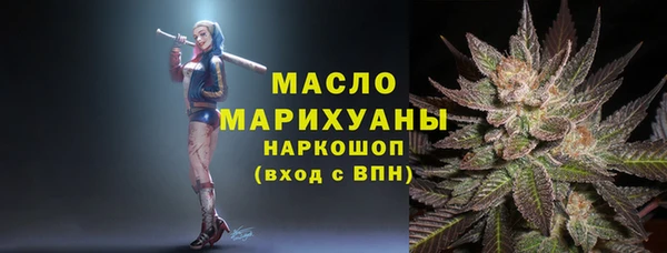 крисы Няндома