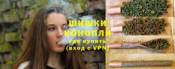 ПСИЛОЦИБИНОВЫЕ ГРИБЫ Трёхгорный