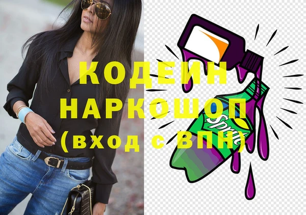 крисы Няндома