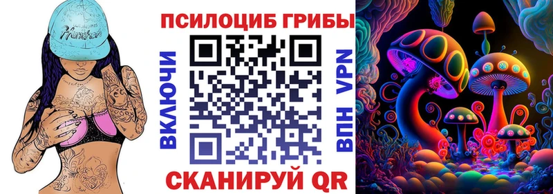 Галлюциногенные грибы Psilocybe  купить  цена  Ханты-Мансийск 